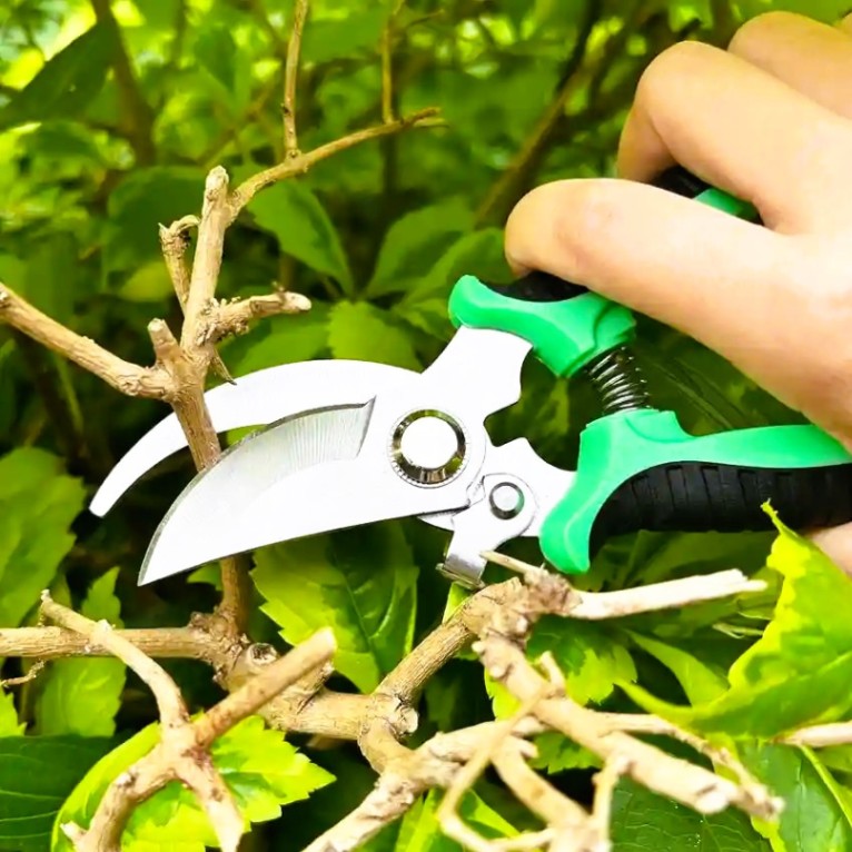 Garden Pruner Shears Pruning Trimming Scissors, Gardening Plant Sharp Branch Pruners Horticultural Fruit Picking Garden Scissors